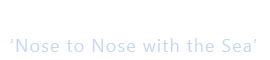 Penmenner House Logo